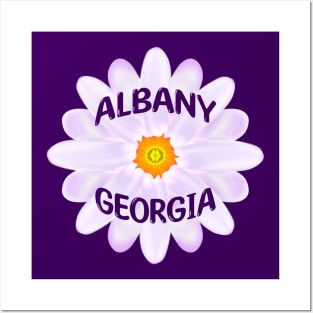 Albany Georgia Posters and Art